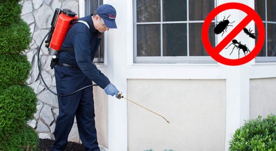 Çüngüş Dezenfeksiyon böcek ilaçlama ve haşere kontrolü — ilaclama-tr.com